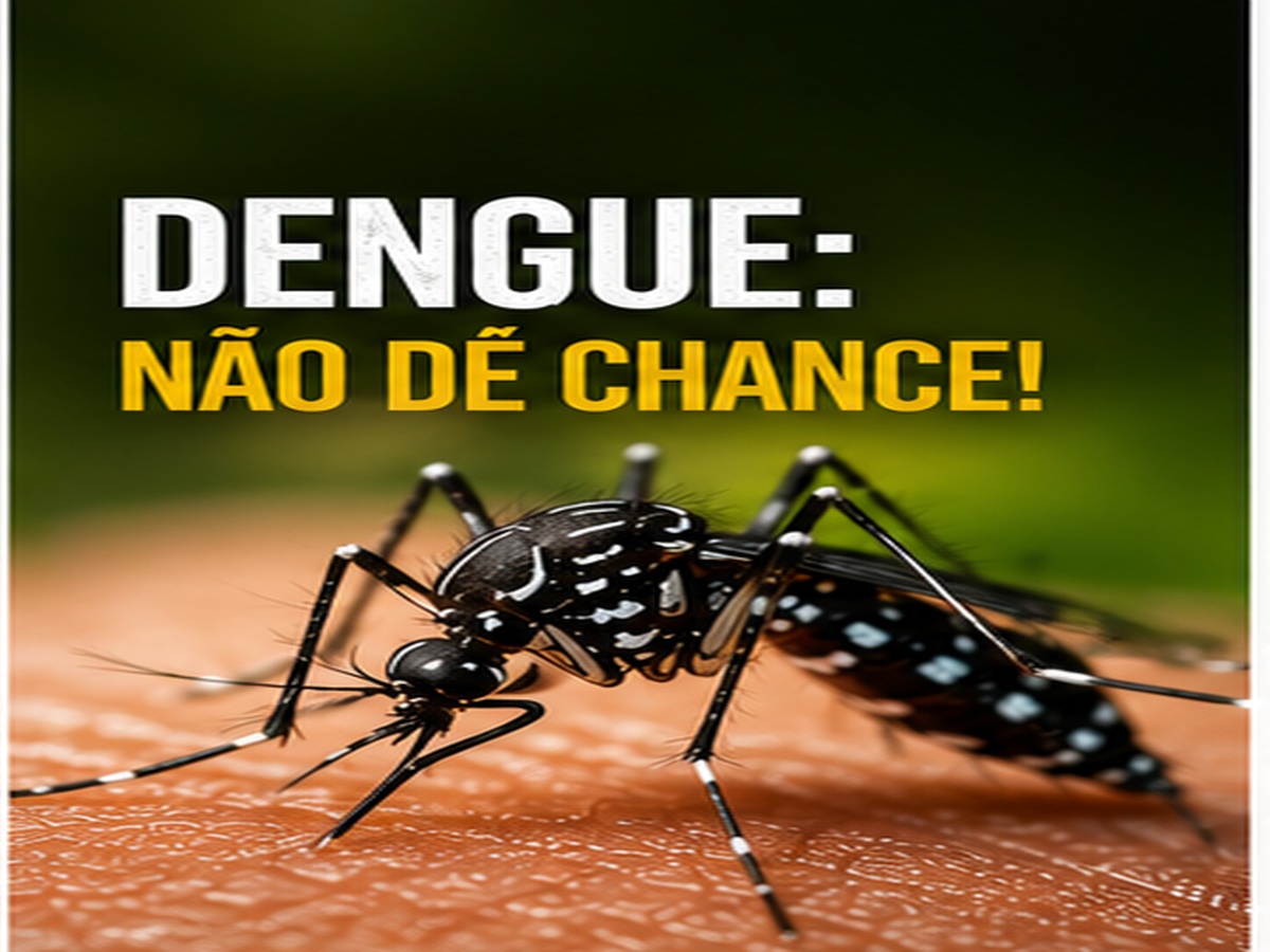 Dengue em Palmas: como evitar o mosquito dentro de casa