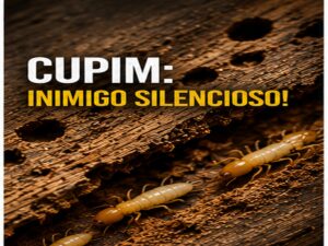 Cupim na madeira: como identificar e eliminar a infestação