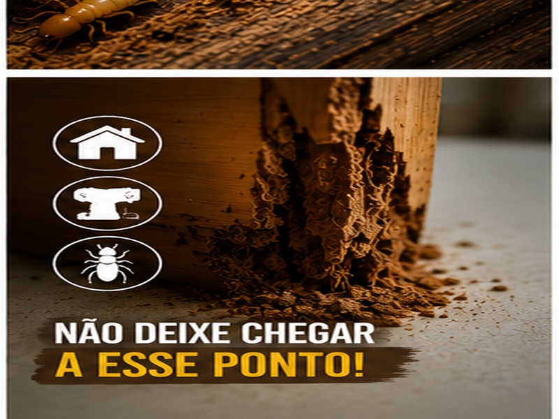 Cupim na madeira: como identificar e eliminar a infestação